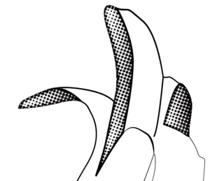 How To Create Halftone Effect In Adobe Illustrator