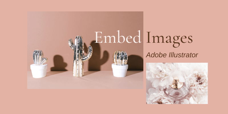how to embed images in illustrator