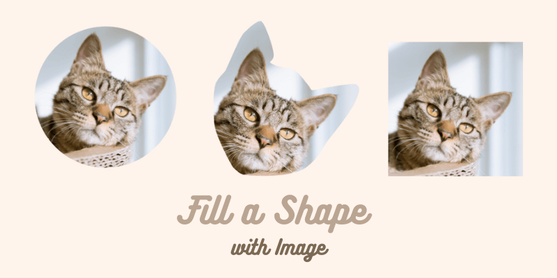 2 Ways to Fill Shape with Image in Adobe Illustrator