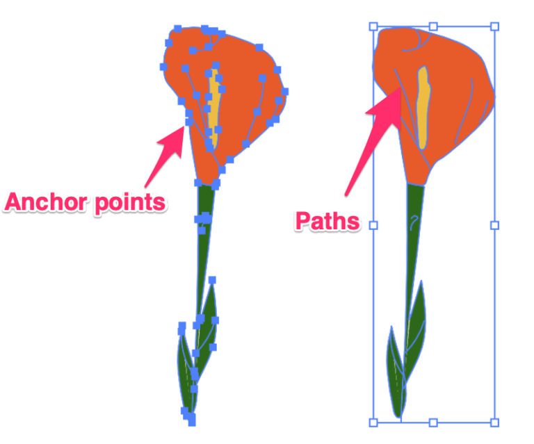 How to Invert Color in Adobe Illustrator (Vectors & Images)