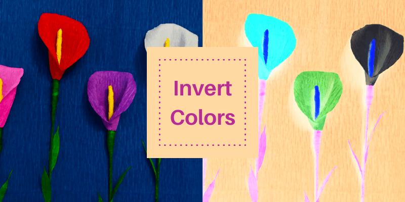 inverted colors  What are colours, Color inversion, Invert colors