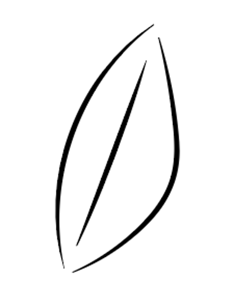 How to Join Lines in Adobe Illustrator (Real Examples)